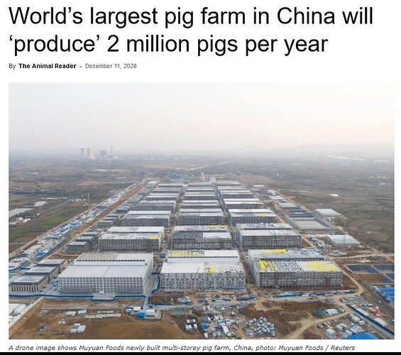 Animal farm China