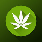grafik